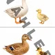 Zvířátka na farmě - velký soubor aktivit 3