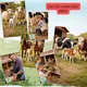 Záchrana farmy strejdy Karla - týdenní příprava dle RVP PV 2025 + aktivity na téma: Zvířata na farmě 6