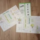 lapbook - STROMY 2