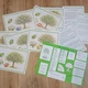 lapbook - STROMY 3