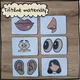 BODY PARTS, HAVE GOT - kartičky, flashcards a pracovní list pro 1. stupeň ZŠ 5