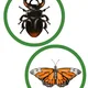 Hmyz pohybový chodník 🐝🐜 3
