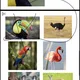 Exotická zvířata a ptáci- výřezy 🐘🐆🦓🐫🦒🐊 3