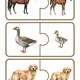 Zvířátka na farmě – soubor aktivit pro MŠ 4