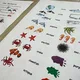 Picture reading - Sea Animals 4