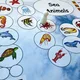Desková hra - Sea Animals 4