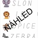 Zvířátka v zoo 8