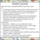 Jarní louka - týdenní příprava do MŠ 2