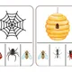 Hmyz aneb co kolem nás léta,bzučí a leze?🐝🐜 8