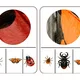 Hmyz aneb co kolem nás léta,bzučí a leze?🐝🐜 10
