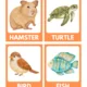 Flashcards- Animals 4