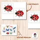 Hmyzí puzzle | Hmyz | Entomologie | Brouci 2