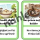 České idiomy 4