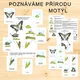 MOTÝL - POZNÁVÁME PŘÍRODU 2