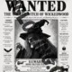Wanted Witch 2