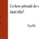 Riskuj! Oběhová soustava 3