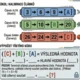 Vesmírná úniková hra pro 3. - 5. třídu, Mise X-2026 3