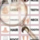 Monkey dominoes (Parts od the body) 2