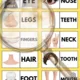 Monkey dominoes (Parts od the body) 4