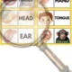 Monkey dominoes (Parts od the body) 5