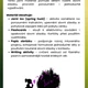 Spring scavenger hunt + flashcards 2