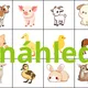 Mláďata na jaře - loto + pracovní list  3