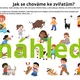 Mláďata na jaře - loto + pracovní list  5