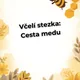 Včelí stezka - cesta medu (den včel 20. května) 6