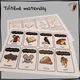 WITCHES' NIGHT - Speaking Cards (kartičky k procvičení slovní zásoby) 4