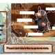 Tajemství zemského srdce - online úniková hra na Den Země 4