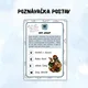 LITERÁRNÍ BOJOVKA 3: OPAKOVÁNÍ UČIVA 3. ROČNÍKU SŠ 7