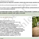 Kreativní procházky - HLEDAČKY 2