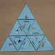 Zoo animals 10