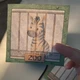 Zoo aktivity 8