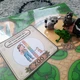 Zoo aktivity 10