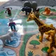 Zoo aktivity 11