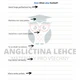 Procvičování přítomného prostého času (present simple) 4