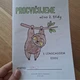 Český jazyk pro 2. třídu | procvičovací sešítek 2