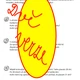 KROKODÝLÍ MATEMATIKA PŘED VÝLETEM DO ZOO 2