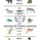 Zoo Animals - Mix Materiálů 4