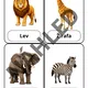 Zvířata v ZOO - demonstrační kartičky a plakáty 4