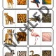 Zvířata v ZOO - soubor aktivit 4