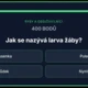 Riskuj! - Přírodopis - Opakování 7. ročníku 10
