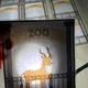 ZOO PROSVĚTLOVÁNÍ 5