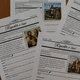 Reportér v čase - české dějiny hravě, historické osobnosti, vlastivěda, rozhovor 2