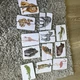 Zoologická zahrada 🦍🐘 4