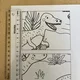 Dinosauří kooperativní omalovánka 4
