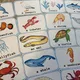 Velká sada aktivit - Sea Animals 2
