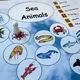 Velká sada aktivit - Sea Animals 9