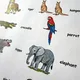 Picture reading - Wild Animals 2